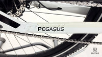 Pegasus Savino Evo 5F Lite