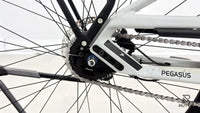 Pegasus Savino Evo 5F Lite