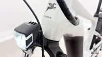 Pegasus Savino Evo 5F Lite