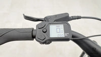 Husqvarna E-Bicycles Eco City 1 Altus