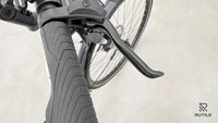 Husqvarna E-Bicycles Eco City 1 Altus