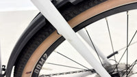 Bulls Cross Rider Evo 1