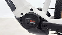Bulls Cross Rider Evo 1