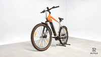 Bulls Cross Rider Evo 1