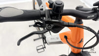 Bulls Cross Rider Evo 1