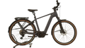 Flyer Gotour 7.12 XC