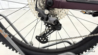 Orbea Rise H30
