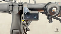 Yuba FastRack Espresso Family Edition