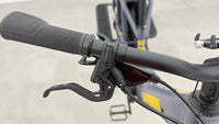 Yuba Boda Boda Active Edition