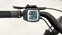 Bergamont E-Horizon Sport Wave