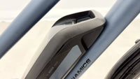 Dynamics Forte Plus