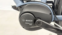 Dynamics Forte Plus