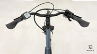 Dynamics Forte Plus