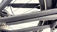 Pegasus Premio EVO 10 Lite Comfort