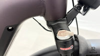 Pegasus Premio Evo 11