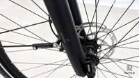 Pegasus Premio Evo 11