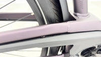 Pegasus Premio Evo 11