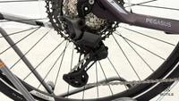 Pegasus Premio Evo 11