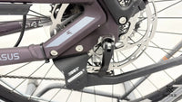 Pegasus Premio Evo 11