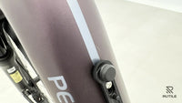 Pegasus Premio Evo 11
