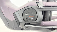 Pegasus Premio Evo 11
