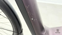 Pegasus Premio Evo 11