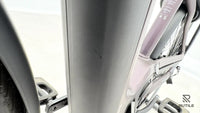 Pegasus Premio Evo 11