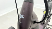 Pegasus Premio Evo 11