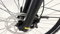 Pegasus Premio Evo 11