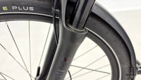 Pegasus Premio Evo 11