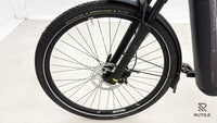 Pegasus Premio Evo 11