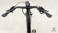 Pegasus Premio Evo 11