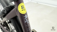 Pegasus Premio Evo 11