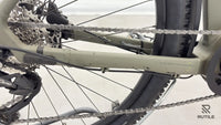 Kalkhoff Entice 5.B Season