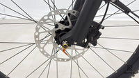 Kalkhoff Entice 5.B Season