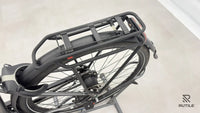Pegasus Premiio EVO 5 F Belt
