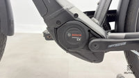 Pegasus Premiio EVO 5 F Belt