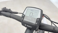 Pegasus Premiio EVO 5 F Belt
