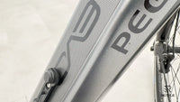 Pegasus Premiio EVO 5 F Belt