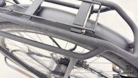 Pegasus Premiio EVO 5 F Belt