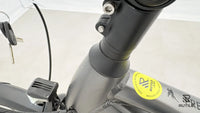 Pegasus Premiio EVO 5 F Belt