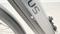 Pegasus Premiio EVO 5 F Belt