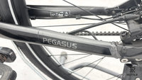 Pegasus Premio Evo 5R