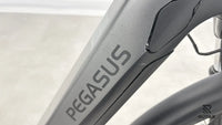 Pegasus Premio Evo 5R