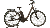 Raymon CityRay E 2.0 CB 400
