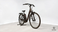 Raymon CityRay E 2.0 CB 400
