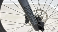 Haibike ALLMTN 2
