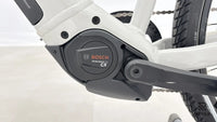 Bulls CROSS RIDER EVO 1 750 WH