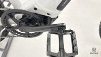 Bulls CROSS RIDER EVO 1 750 WH