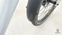 Douze Cycles Longtail LT2 B
